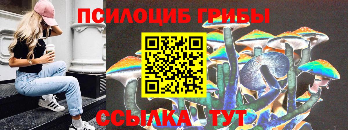 Галлюциногенные грибы прущие грибы  Вход с VPN  купить закладку  Ступино 